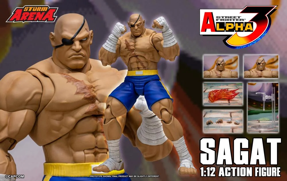 Street Fighter Alpha 3 Storm Arena Sagat 1:12 Scale Action Figure f