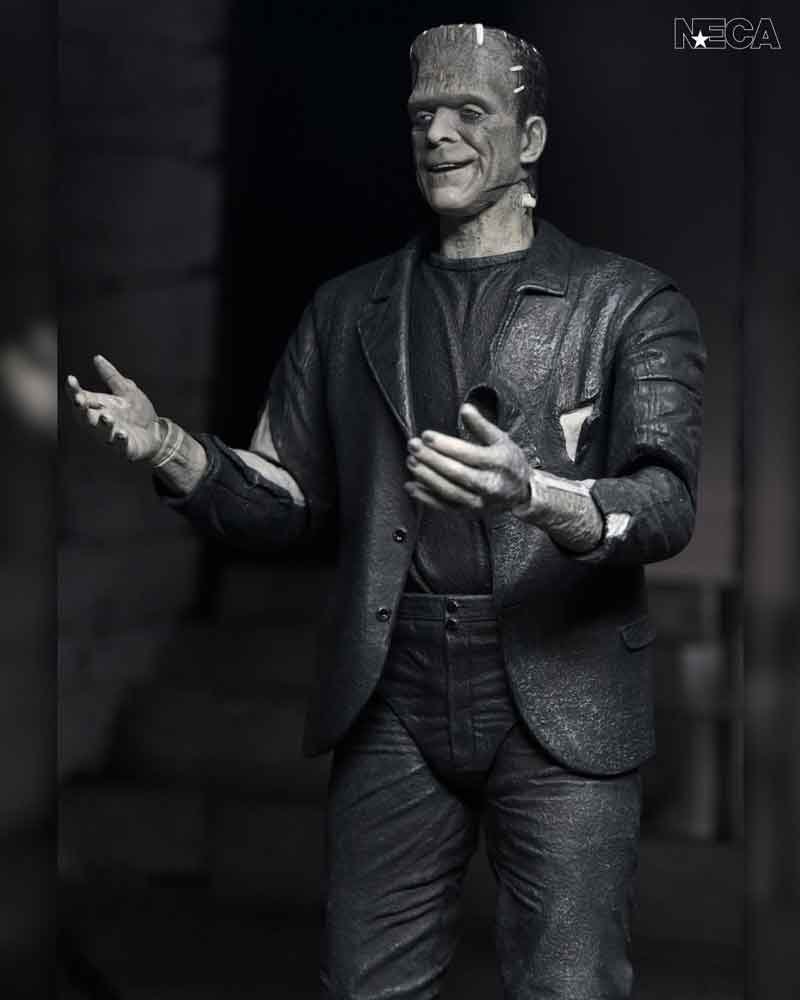 The-Bride-of-Frankenstein-90th-Anniversary-The-Monster-&-His-Mate-2-Pack-5