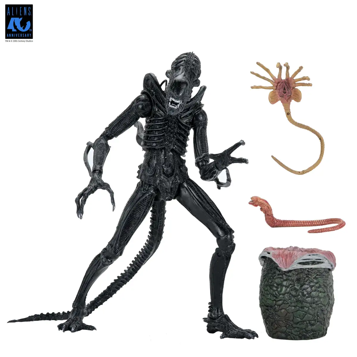 Aliens 40th Anniversary Ultimate Warrior Xenomorph Action Figure 16
