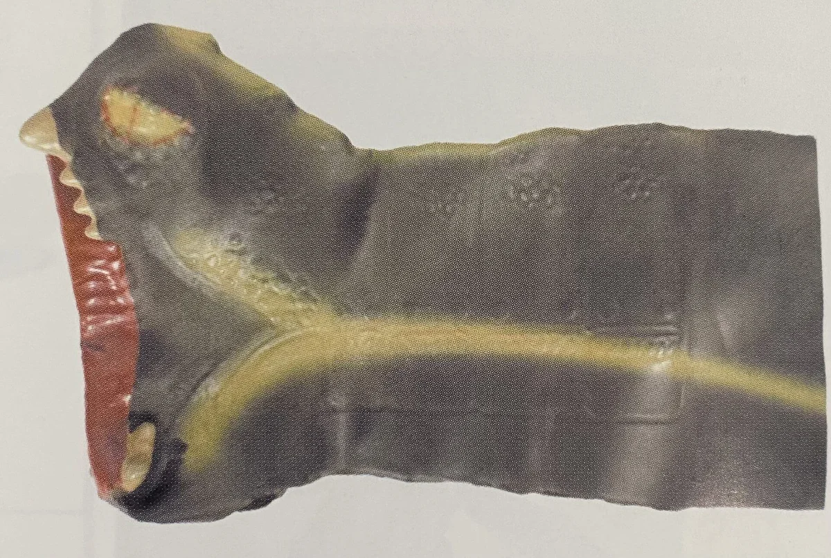 Masters of the Universe Fright Zone Vintage Snake