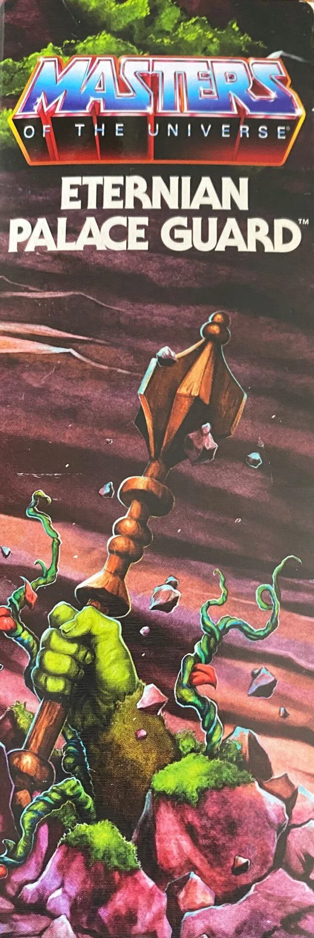 Masters of the Universe Origins Eternin palace guard package side