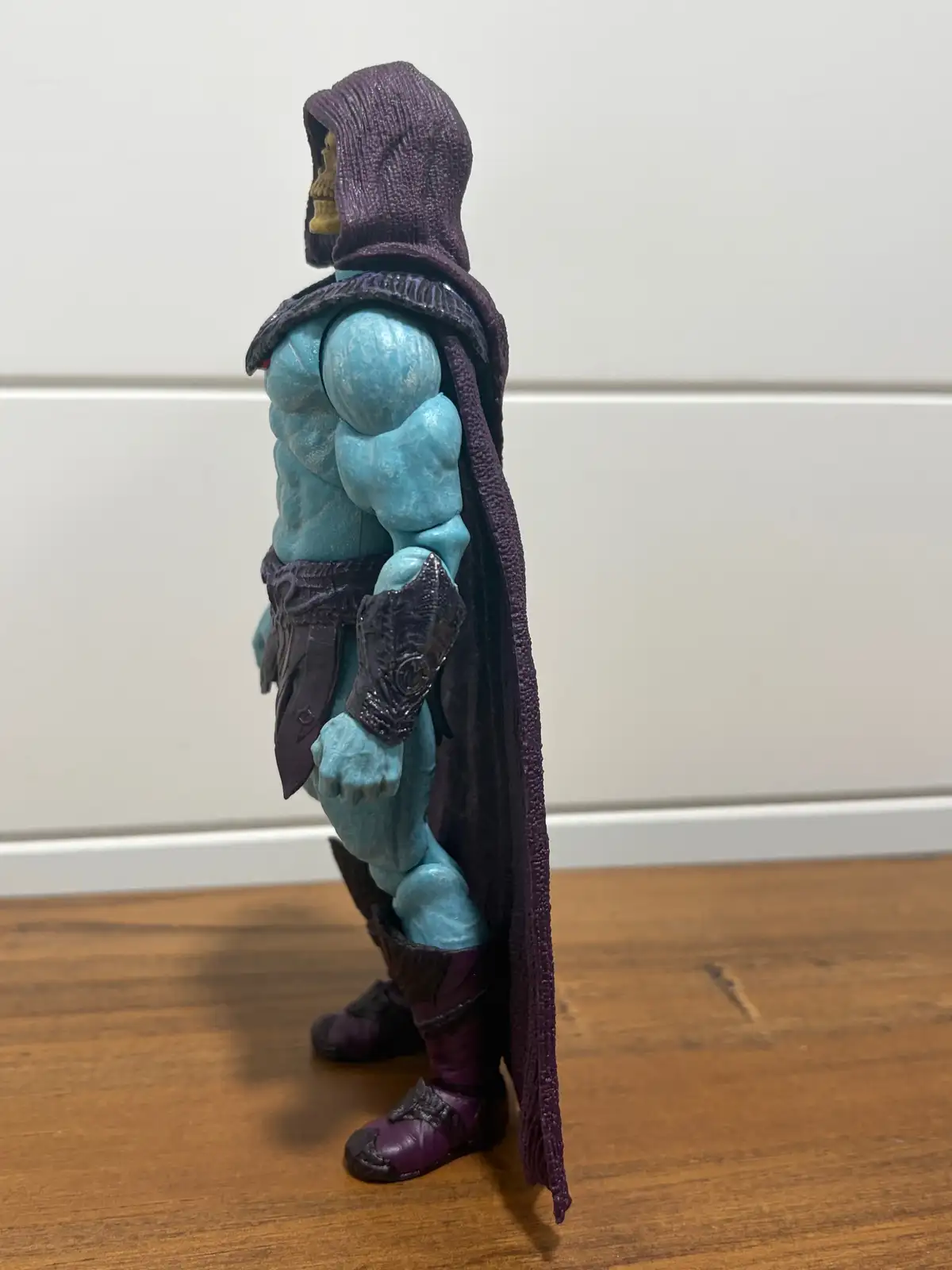 Skeletor MOTU Chronicles IH 10