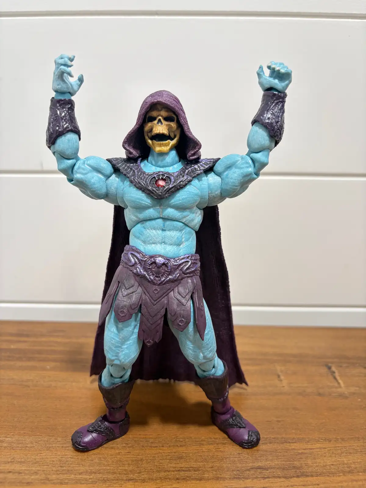 Skeletor MOTU Chronicles IH 23