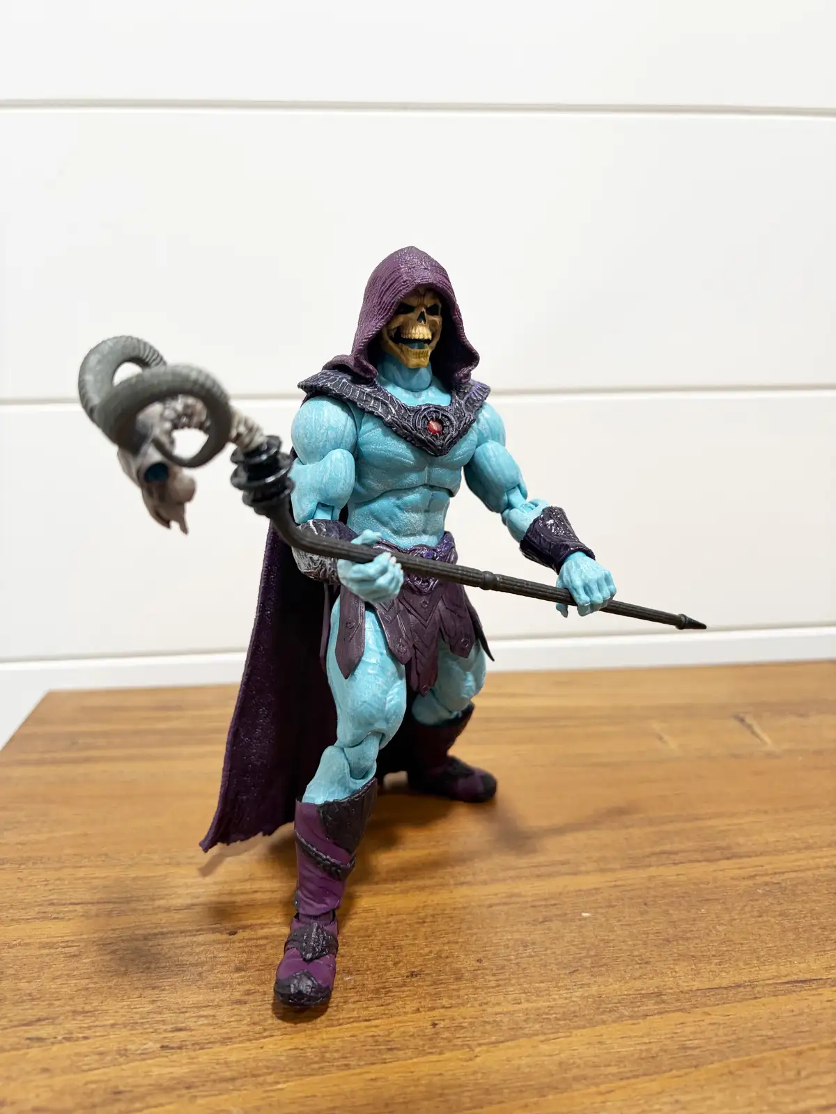 Skeletor MOTU Chronicles IH 24