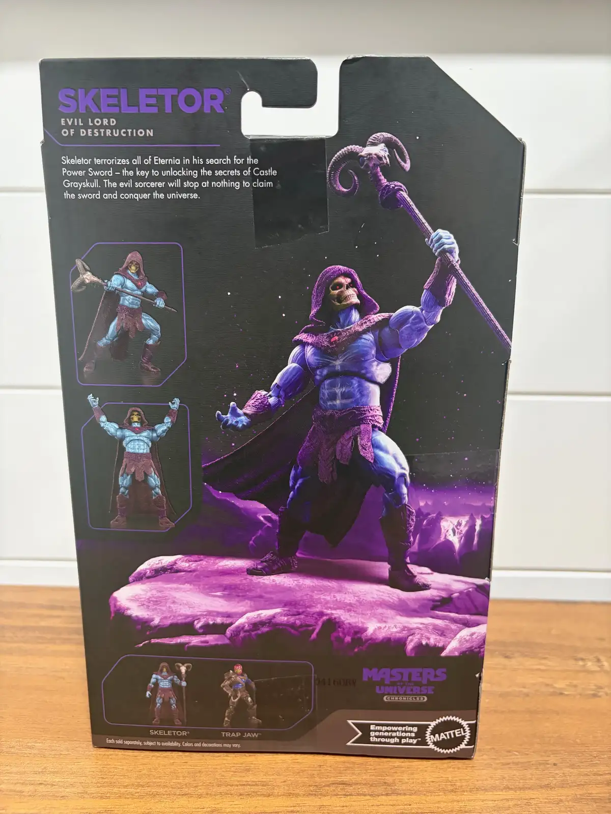 Skeletor MOTU Chronicles IH 5