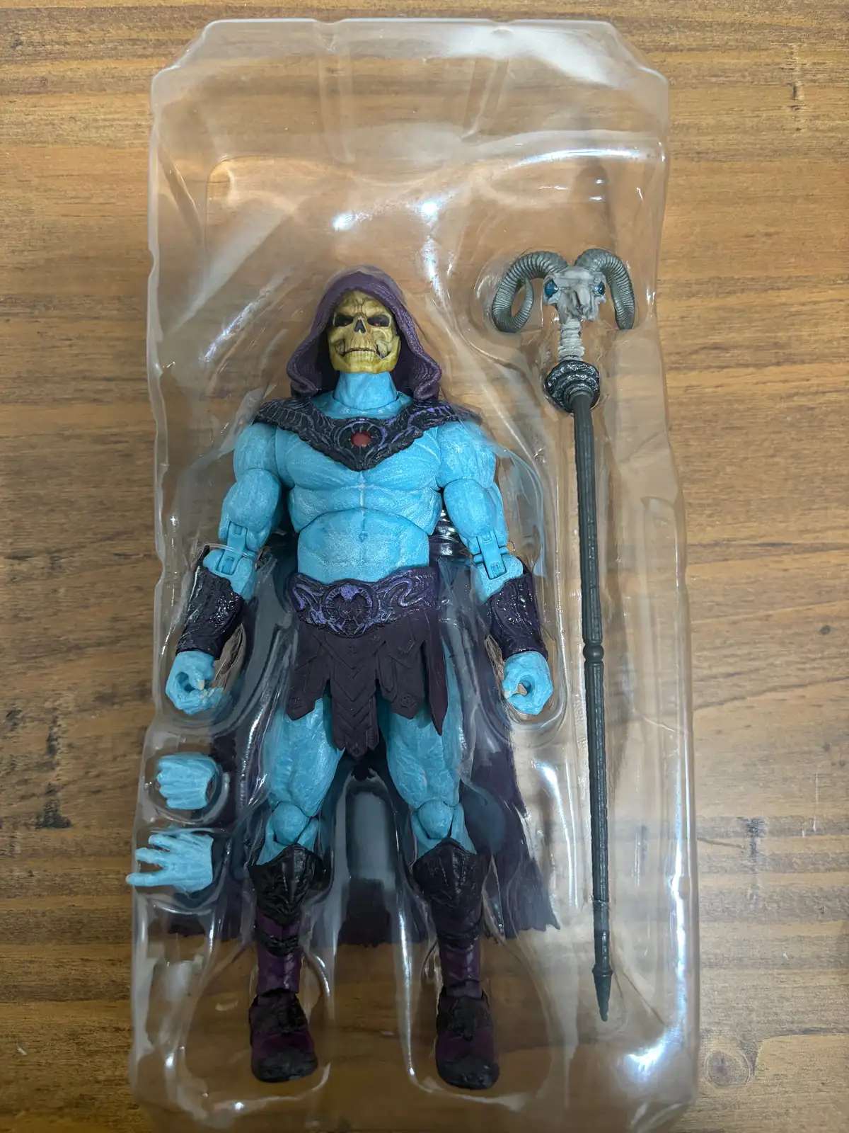Skeletor MOTU Chronicles IH 6