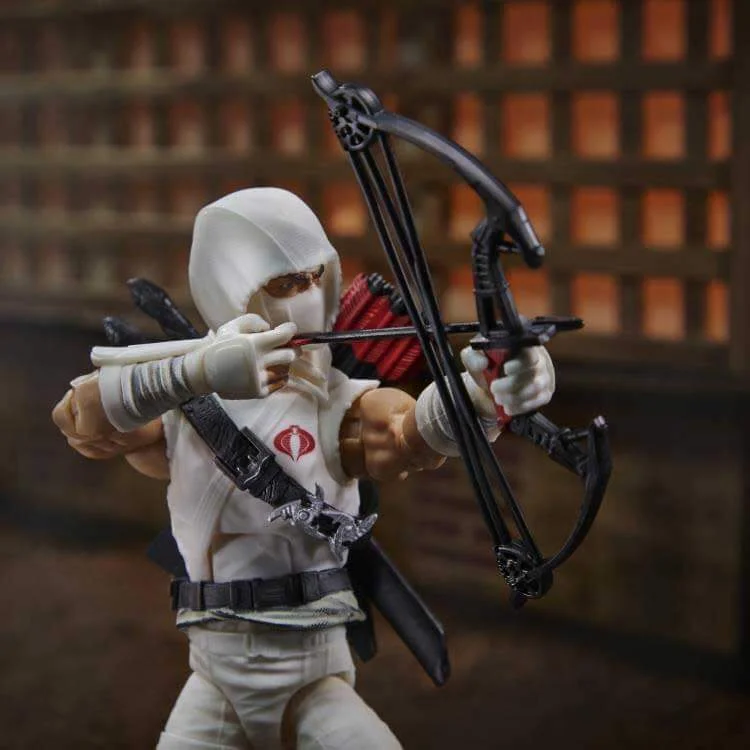 Storm Shadow GI Joe Classified dio image 5