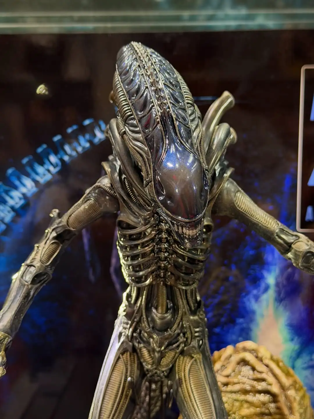 Alien Warrior Aliens 40th Anniversary Hot Toys Hong Kong Comic Con 2026 Booth Image 16