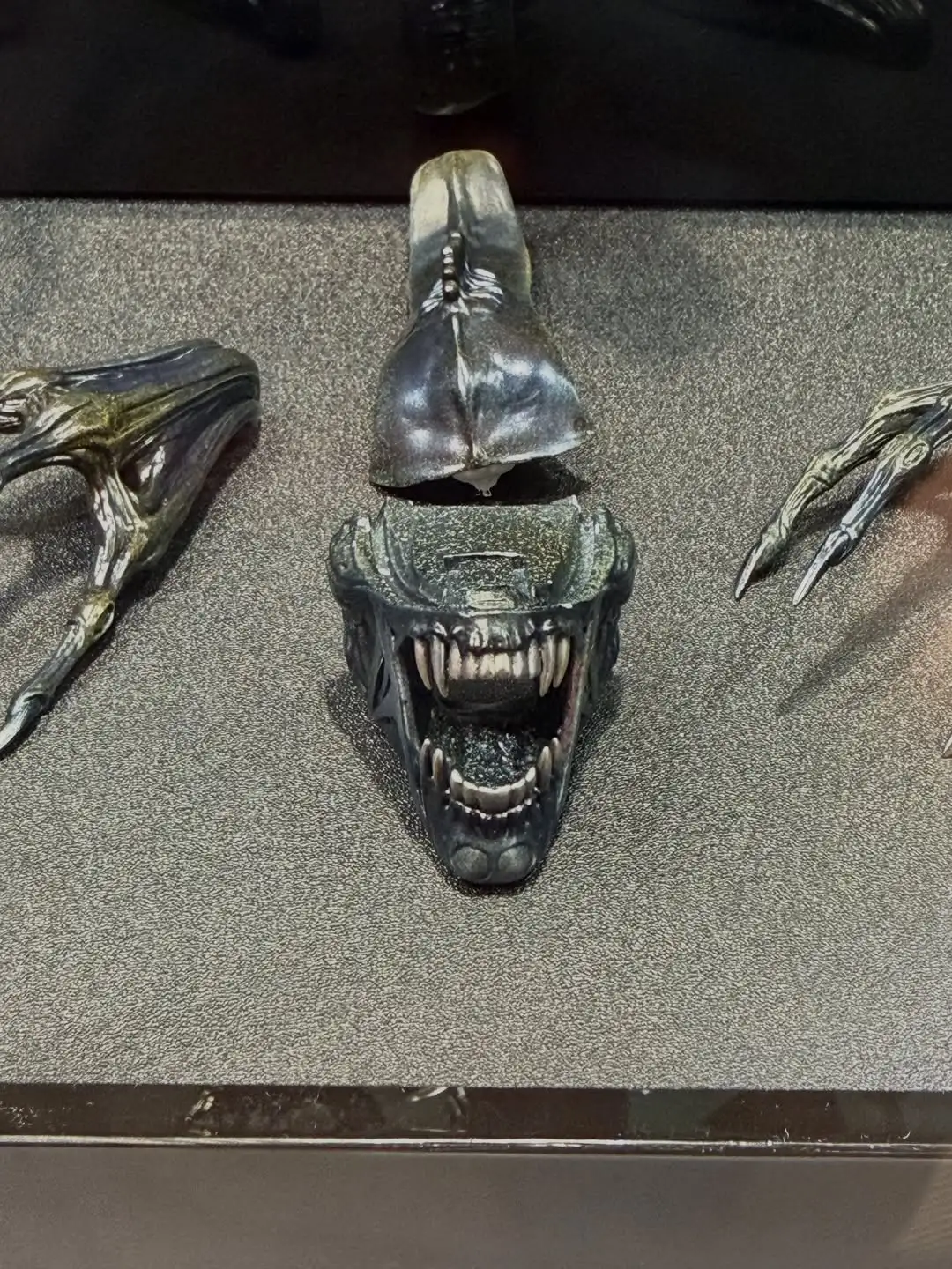 Alien Warrior Aliens 40th Anniversary Hot Toys Hong Kong Comic Con 2026 Booth Image 20
