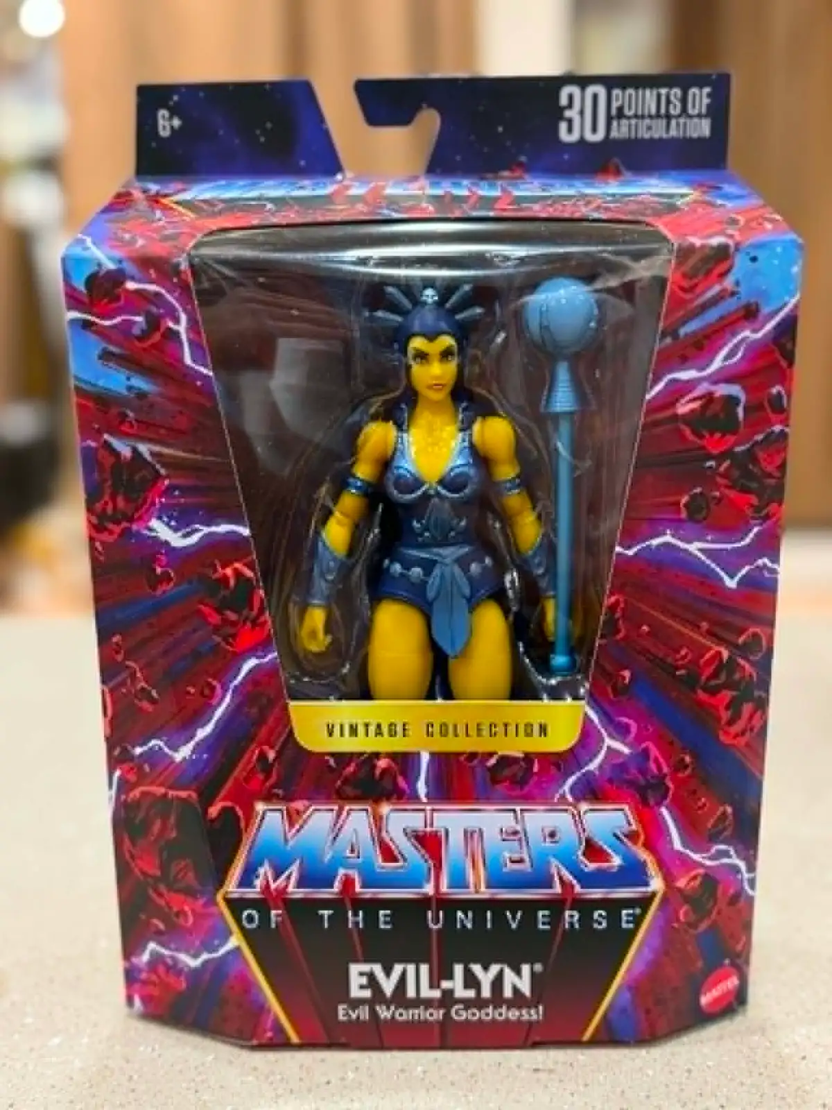 Evil Lyn Masterverse Vintage Collection MOTU In Box 1