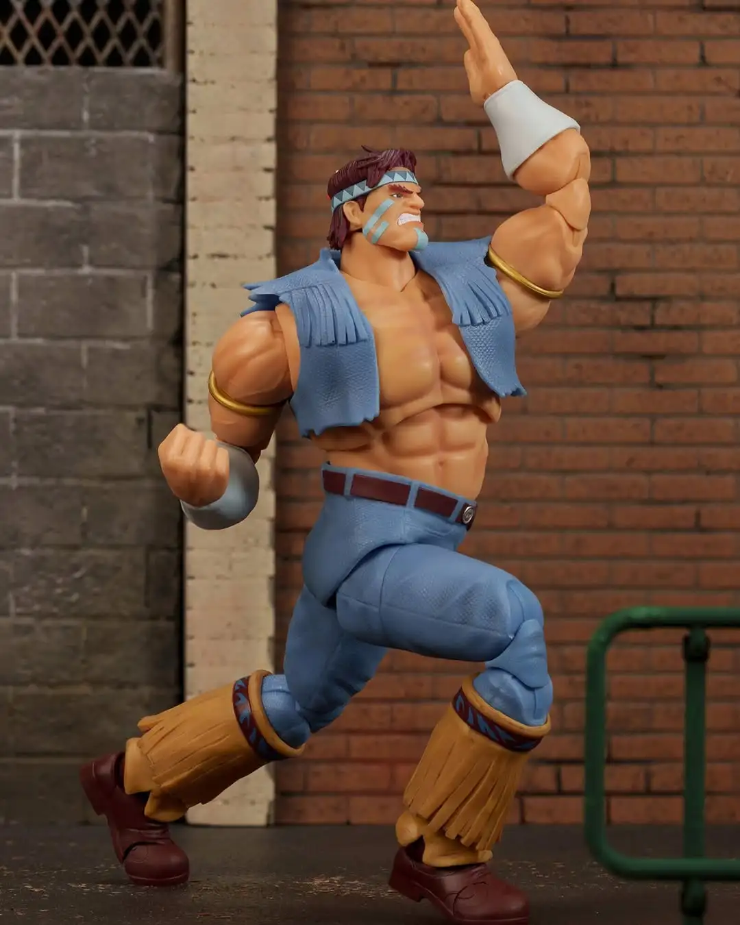 T Hawk Street Fighter II Ultra Jada Toys 4