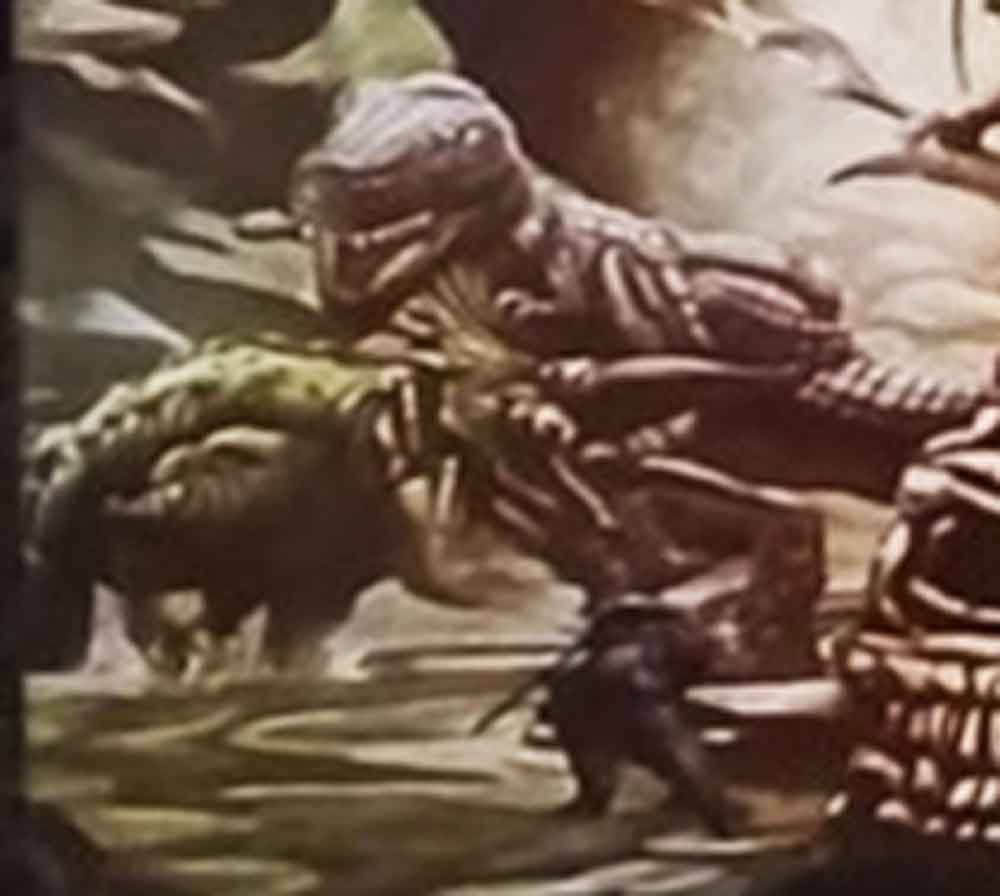 dinos-new