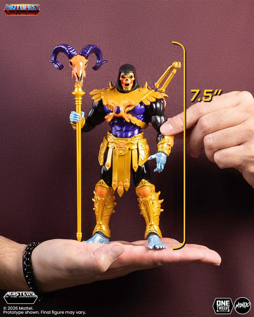 Disco Skeletor Mondo MOTU 200X 3