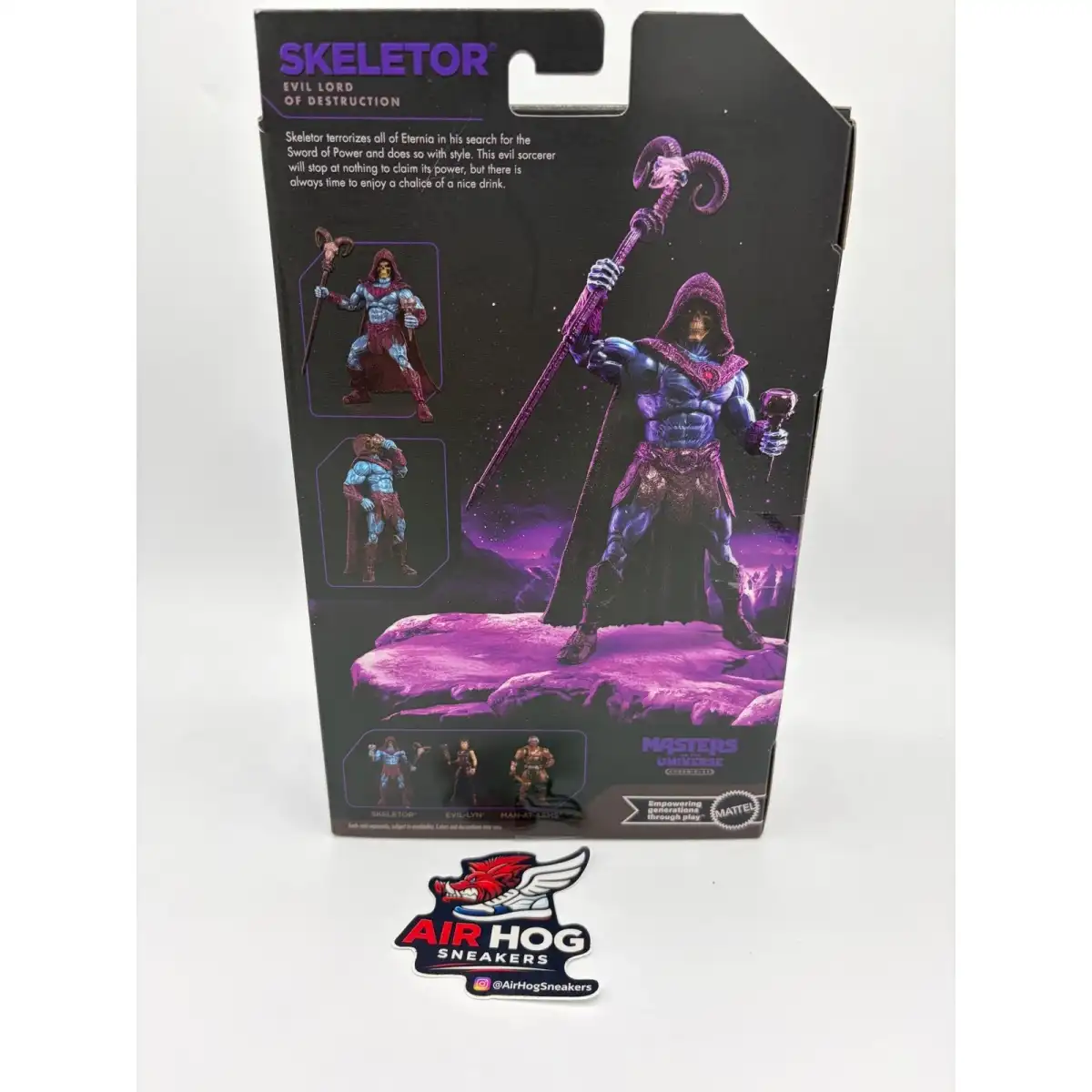 Skeletor V2 MOTU Chronicles Box Backb