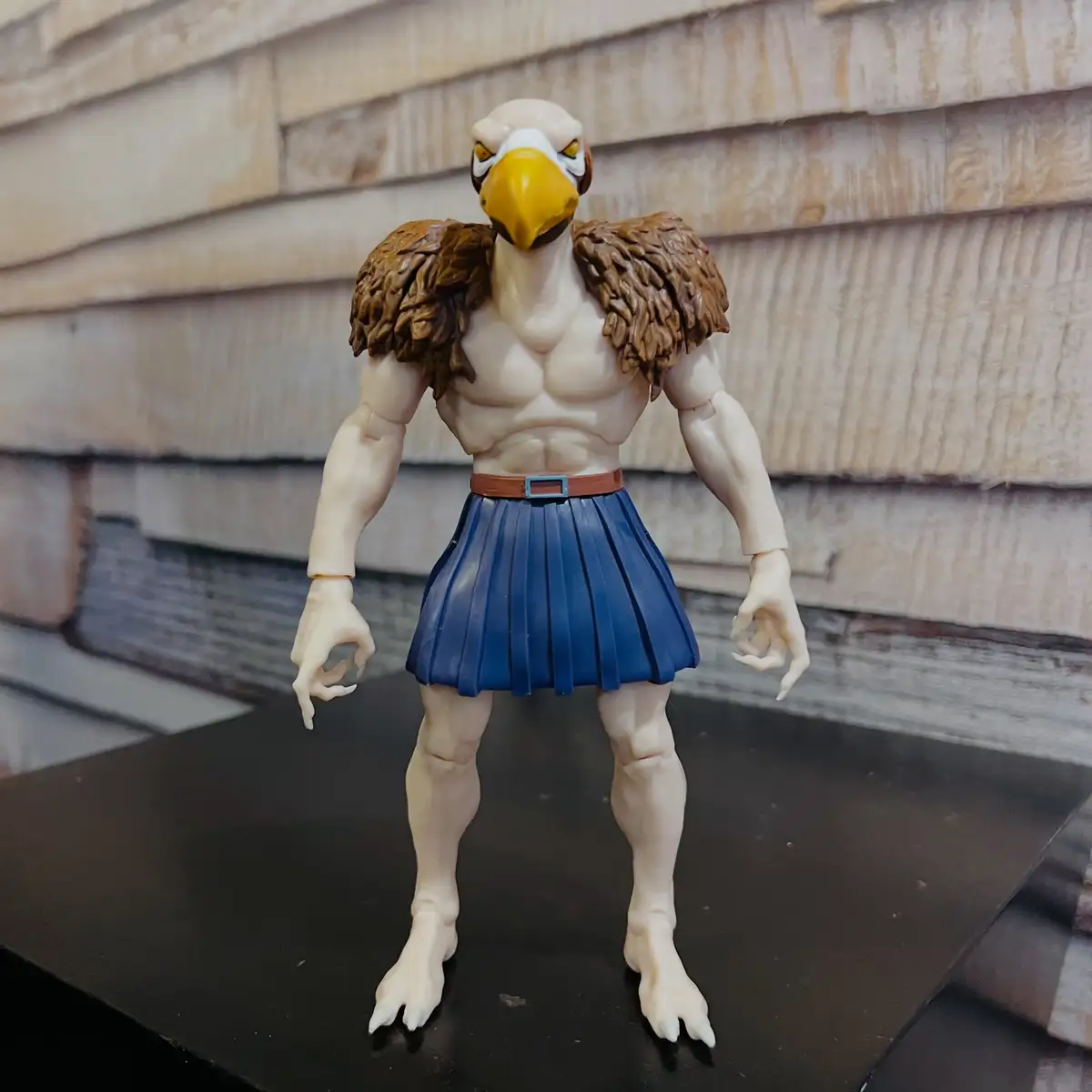 Super7 Thundercats Deluxe Wave 5 Vultureman IH 5