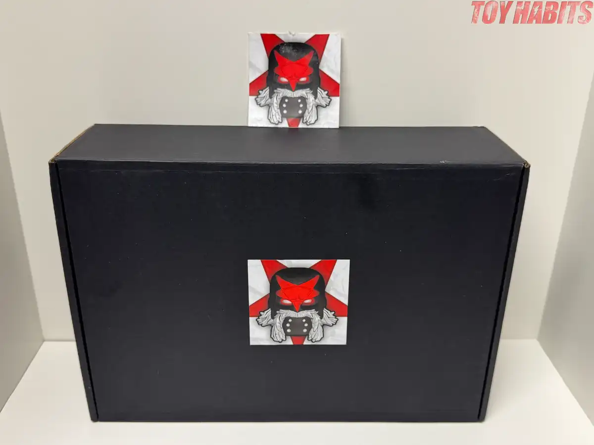 The black shipping box features a custom illustrated Anti-Eternia Mr.
